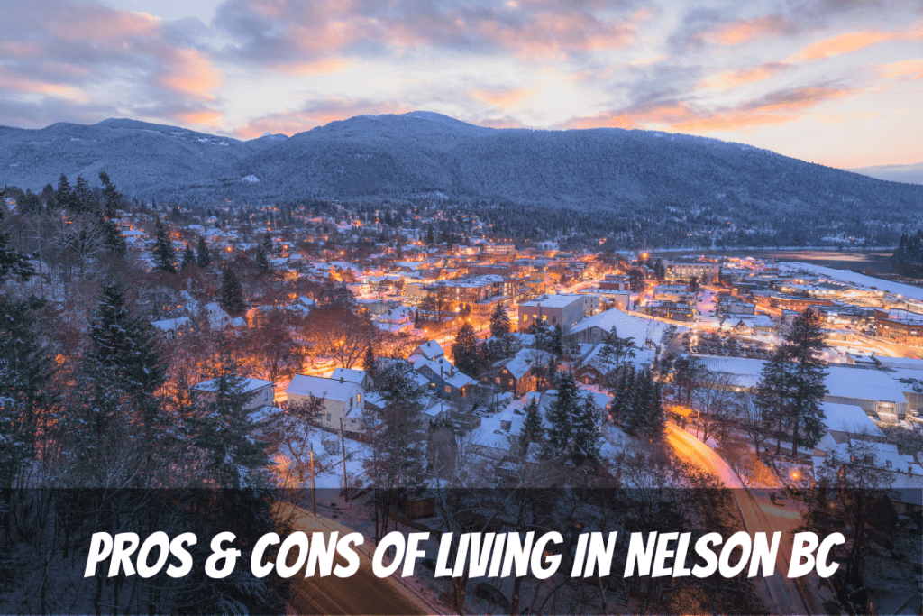 A Winter Aerial View The Pros And Cons Of Living In Nelson Bc Canada On Kootenay Lake