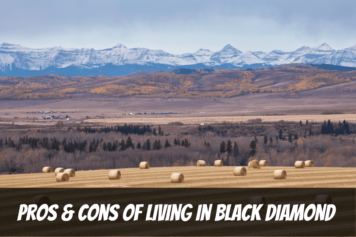 Une vue d'automne sur les contreforts des montagnes Rocheuses et les avantages et les inconvénients de vivre à Black Diamond Alberta Canada