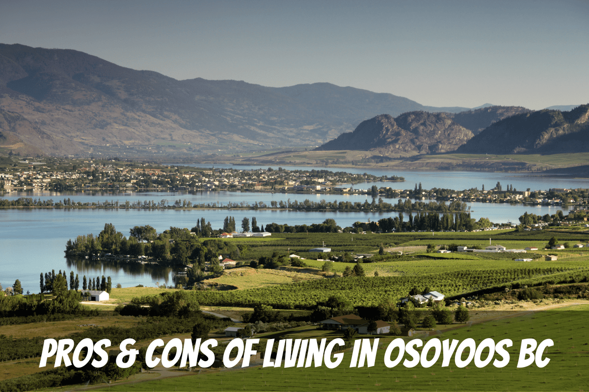 Une belle vue sur la ville et le lac d'Osoyoos en été avec des vignes mûres comme exemple des avantages et des inconvénients de vivre à Osoyoos