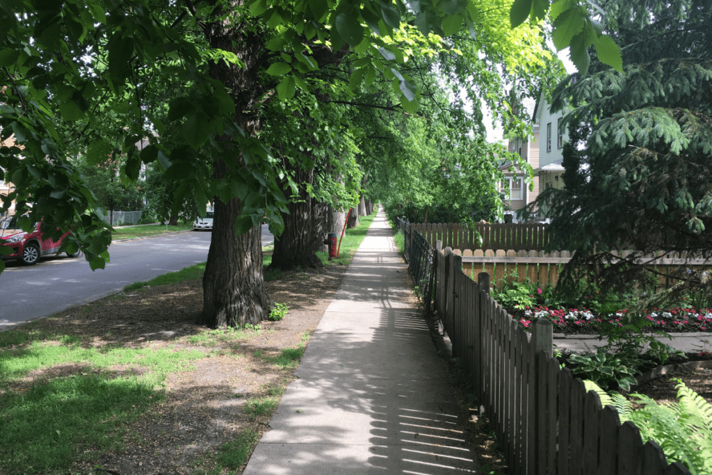 A Leafy Residential Area On A Summer Day In One Of The Best Reasons To Move To Manitoba