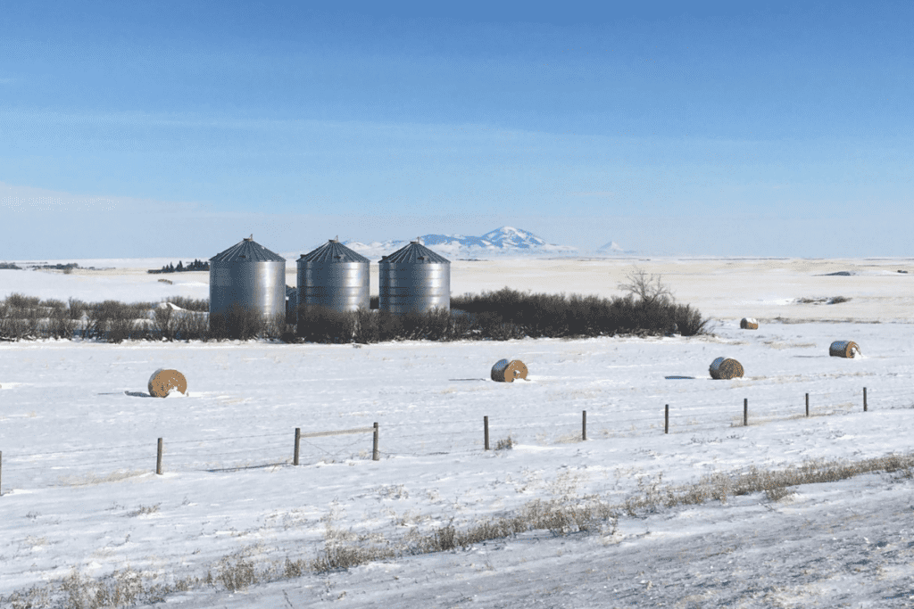 Un paysage de prairie d'hiver avec trois grands silos à grains métalliques et des balles de foin au premier plan situé au sud des meilleurs quartiers de Lethbridge Alberta Canada