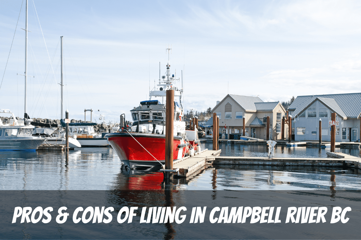 Una hermosa vista de los barcos en el puerto de Campbell River como ejemplo de los pros y los contras de vivir en Campbell River Bc Canadá
