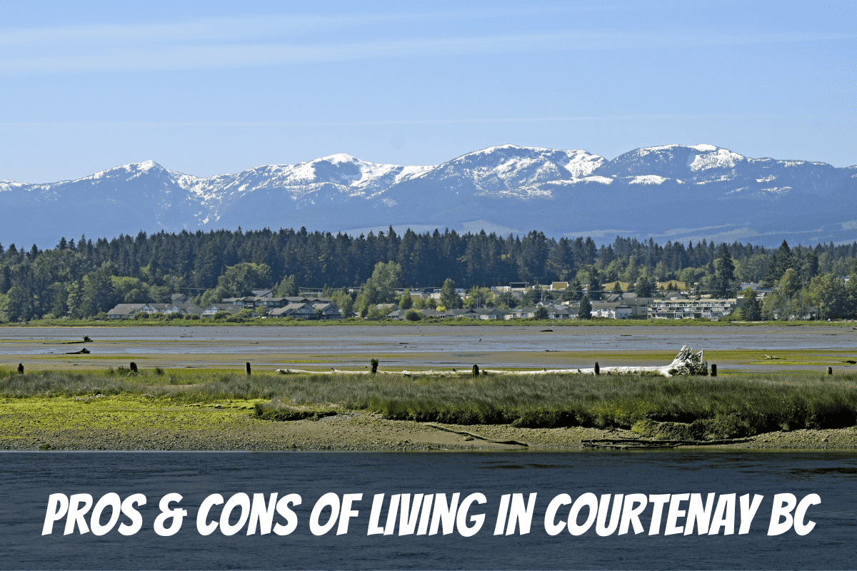A Beautiful View Across The Water To Courtenay Town In Summer As An Example For The Pros And Cons Of Living In Courtenay Bc Canada