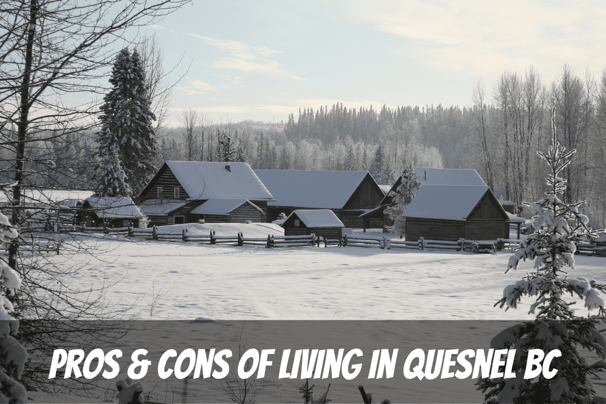 A Beautiful Snowy View Just Outside Of Quesnel Town As An Example For The Pros And Cons Of Living In Quesnel Bc Canada