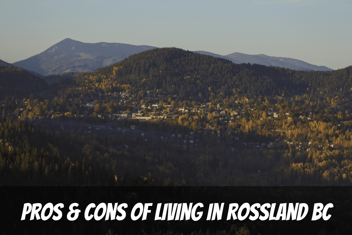 A Beautiful View Across The Mountain Town Of Rossland Which Is Surrounded By Trees As An Example For The Pros And Cons Of Living In Rossland Bc Canada