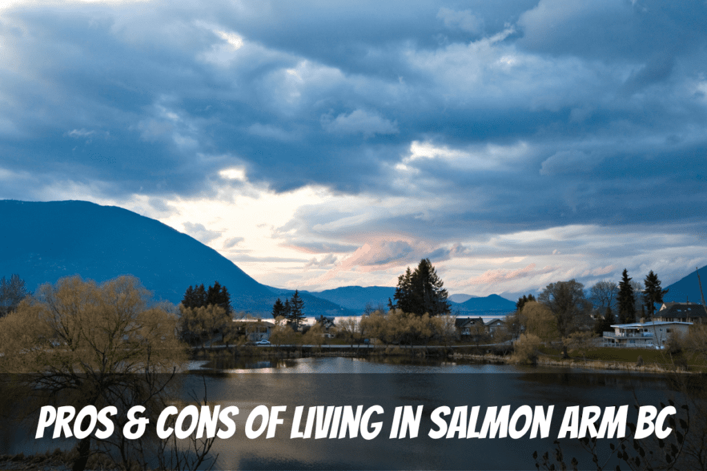 秋天萨蒙阿姆 (Salmon Arm) 的舒斯瓦普湖 (Shuswap Lake) 和树木的美丽景色，作为生活在加拿大不列颠哥伦比亚省萨蒙阿姆 (Salmon Arm) 的利弊的一个例子