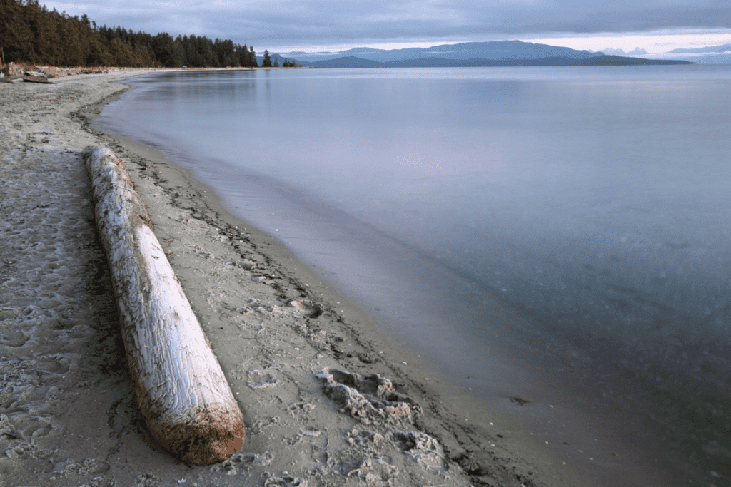 Large baie de Craigs avec plage de sable et bois flotté, avantages et inconvénients de vivre à Parksville, Colombie-Britannique, Canada
