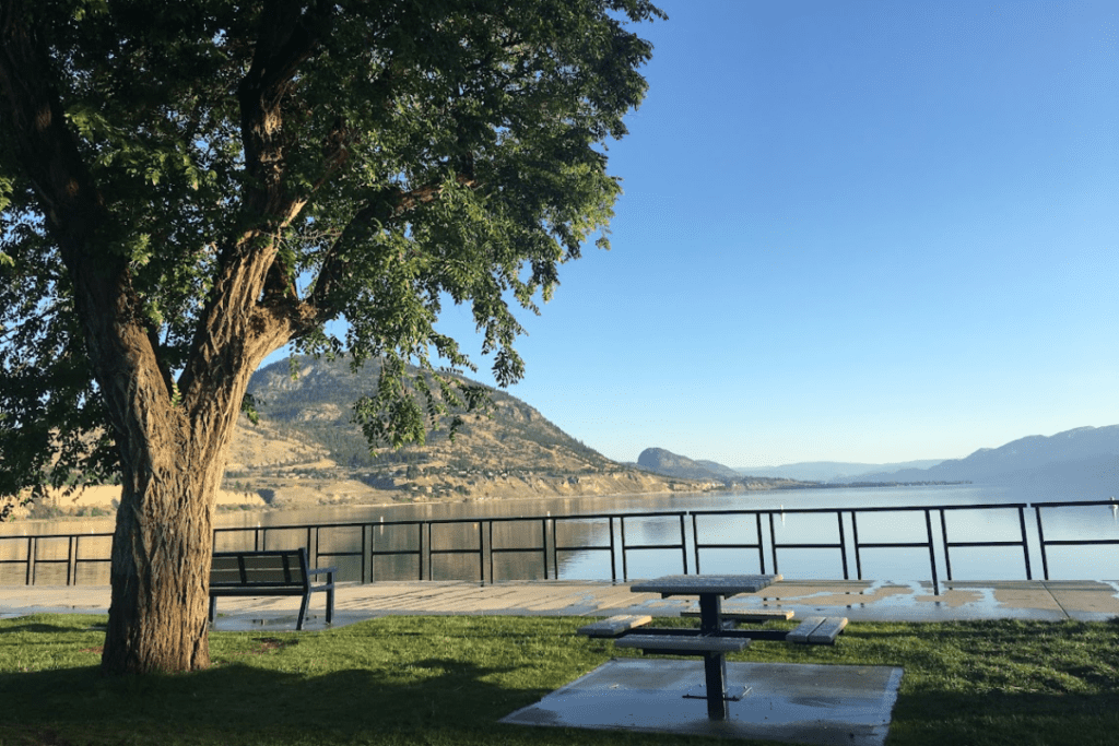 Banco de picnic bajo un árbol en el lago Okanagan, día soleado de verano, los mejores pueblos pequeños de Columbia Británica para vivir en Canadá
