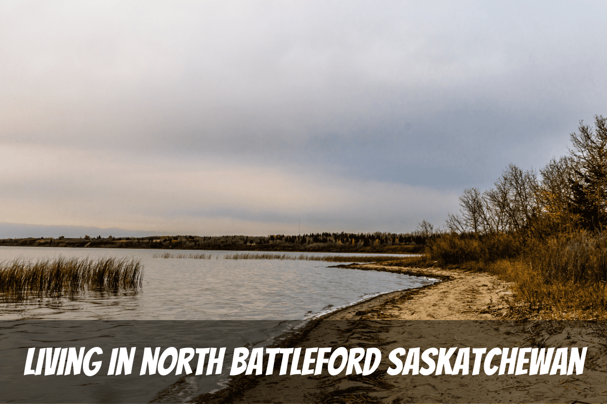 Lac de roseaux et plage de sable au parc provincial à l'automne pour les avantages et les inconvénients de vivre à North Battleford Saskatchewan Canada