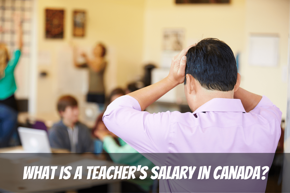 加拿大一所高中的老师站在一群孩子面前 老师的工资。