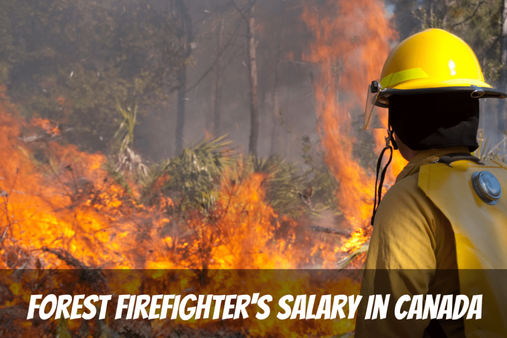 A Fireman In Yellow Protective Clothing And A Yellow Hard Hat Stands In Front Of Burning Trees To Earn Forest Firefighter'S Salary In Canada