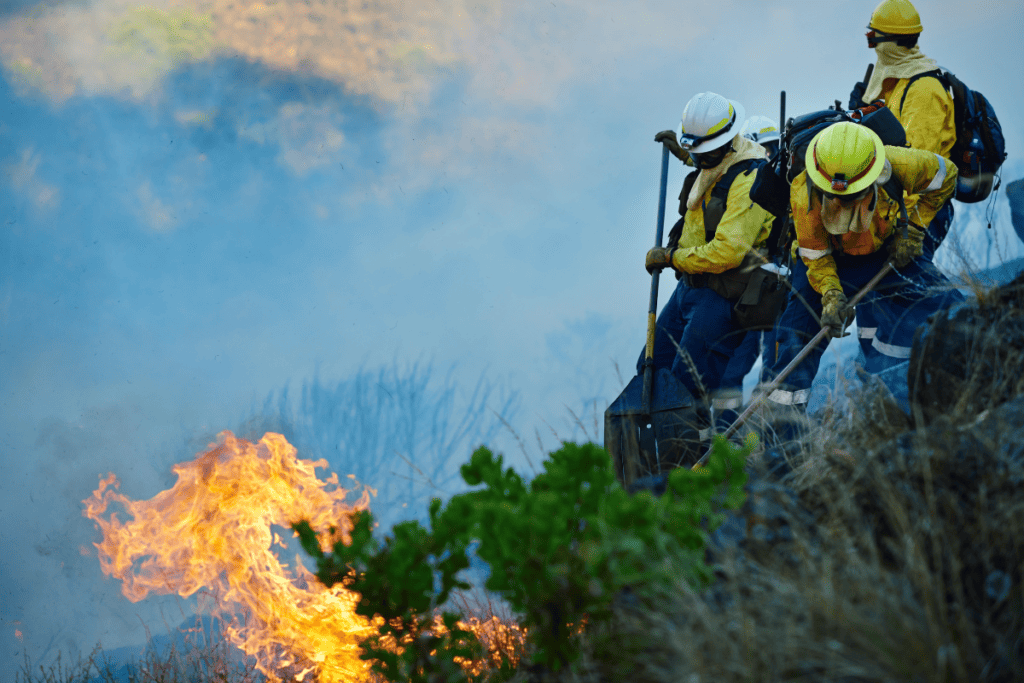 Three Forest Firefighters Tackle A Fire In Some Bushes On The Side Of A Hill For Firefighter's Salary In Canada