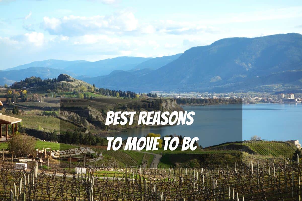 18 Best Reasons To Move To Bc, Canada 2023
