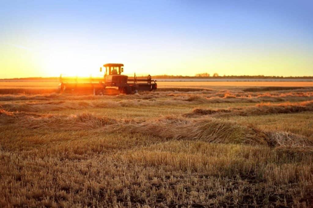 A Combine Harvester At Work On The Prairies At Sunset One Of The Best Reasons To Move To Manitoba